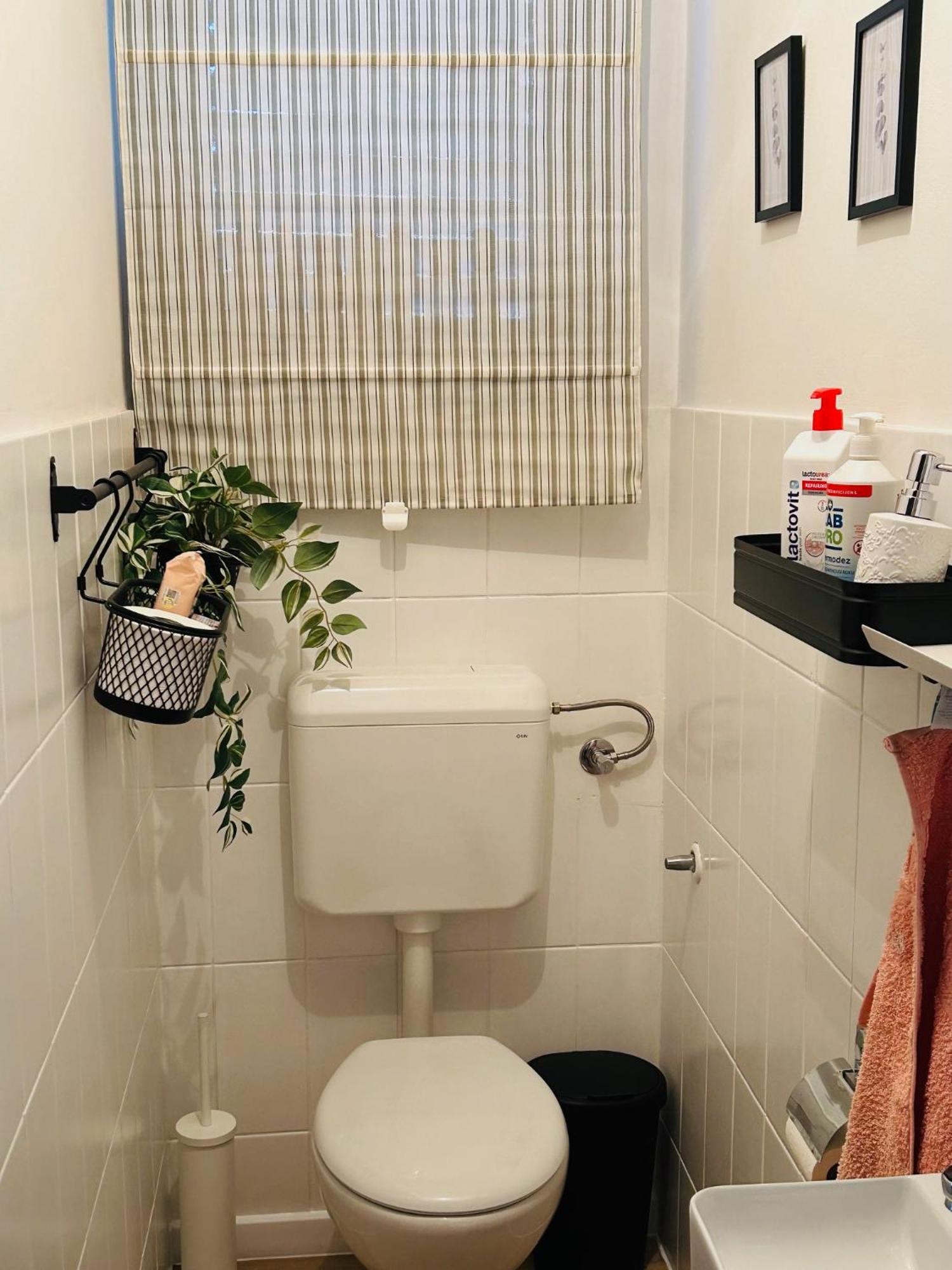 Starlight House Apartment Bjelovar Bagian luar foto
